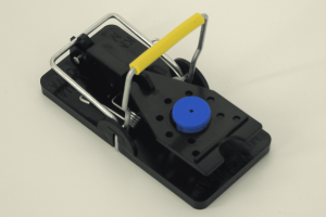 1101-gespannt-Lavendel-7-Uhr