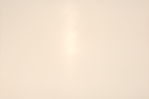 7281-Lavendel-5-Uhr-geschnitten